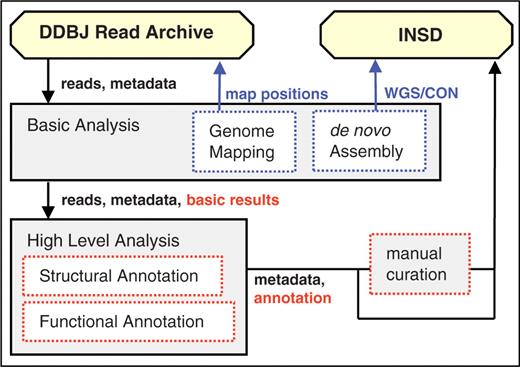 Flowchart of DDBJ Read Annotation Pipeline. The files of analytic results for structural and functional annotations are deposited in DDBJ databases, DRA and INSD.