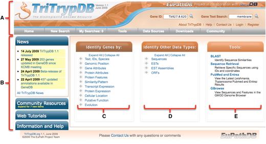Screen shot of the TriTrypDB home page. (A) Interactive banner present on all TriTrypDB web pages, including quick search windows and a tool bar (grey). (B) Side bar components contain expandable sections for release notes, community resources, tutorials and help (new items are highlighted with a yellow alert). (C) Gene searches; clicking on ‘+’ symbols reveals a list of searches available within each category. (D) Searches of non-gene entities, such as ESTs and ORFs of genome sequence. (E) Links to available tools, including the genome browser (based on GBrowse), BLAST against TriTrypDB, the sequence retrieval tool and recent PubMed records pertaining to TriTrypDB organisms.
