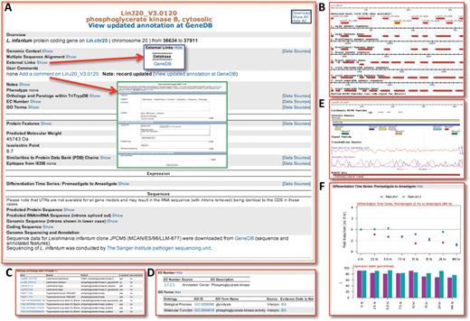 Screen shot of a gene record page in TriTrypDB. (A) The gene page, with all data ‘hidden’; any available data type can be viewed by clicking on ‘show’. Display preferences (and prior queries) are saved for registered users. (B) Genomic context view, showing SynView (19) synteny map between organisms supported in TriTrypDB. (C) Orthologs and paralogs table. (D) Tables representing EC (enzyme commission) numbers and GO (Genome Ontology) associations. (E) Protein features, including mapped peptides from proteomics experiments, InterPro domain predictions, hydropathy plots and BlastP results. (F) Evidence of transcript expression, from microarray experiments.