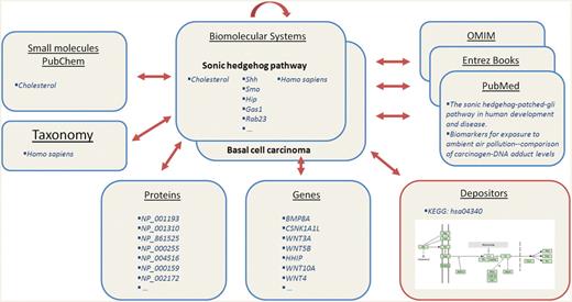 A schematic representation of the integration of the BioSystems database with various NCBI resources and with resources publically available from the depositor.