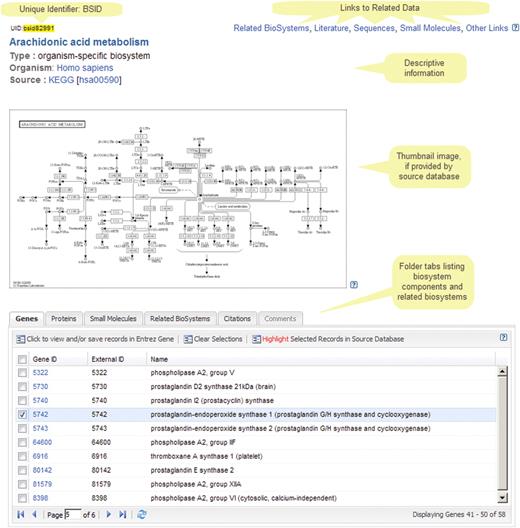 An example BioSystems record display for the COX portion of the arachidonic acid metabolism pathway, which metabolizes lipids that are commonly found in the cell membrane into prostaglandins. The display includes a thumbnail image, links back to the depositor's web site, and lists of the molecular identifiers and annotations associated with the pathway.