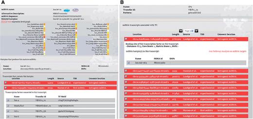 The user is able to query the database either by miRNA name, or by the name of the TF of interest. When a miRNA search is performed (Figure 3a), all distinct locations on the genome (hairpins) that could code for this miRNA are returned, and the user can see details for any of the possible overlapping transcripts identified for each location, usually predicted by different papers. Each transcript tab contains information about TFBSs located from 5 kb upstream to 1 kb downstream of the transcript start. Additionally, information on the expression levels of the mature miRNA are displayed as a heat map. Searching for a TF of interest (Figure 3b) returns all miRNA coding genes for which at least one binding site for this TF is found. Information on the gene, the TFBSs, and the mature miRNAs coded for by the gene can be seen in tabs. All instances of TFBSs and miRNA hairpins are associated with corresponding SNPs mapping on their genomic locations. For all transcripts, the literature source of the gene is displayed, the identification of the TSS (experimental if the TSS was identified in the paper, computational if it was calculated by computational means and first miRNA if the start of the first miRNA serves as a substitute for an unknown TSS), and whether the gene is intragenic or is co-expressed with a protein-coding gene.