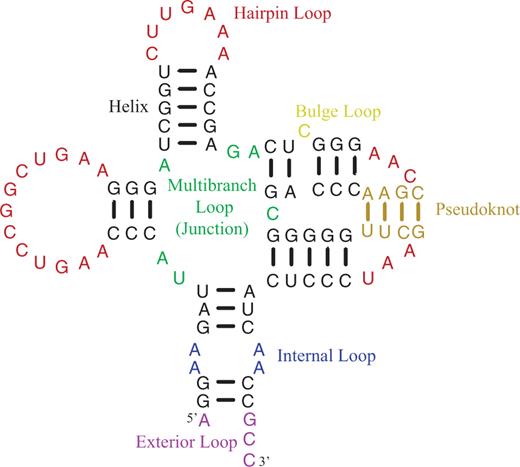 An RNA secondary structure illustrating the types of features included in nearest neighbor parameter sets. This figure appears on the help page of the website. Loops are composed of nucleotides not in canonical pairs. Hairpin loops have one exiting helix. Internal and bulge loops have two exiting helices. Internal loops have nucleotides not in canonical pairs on each of two strands, but bulge loops have nucleotides not in canonical pairs on only one strand. Multibranch loops, also called helical junctions, have three or more exiting helices. Exterior loops contain the ends of sequences and one or more exiting helices. Pseudoknots are canonical pairs connecting loop regions closed by other helices. Formally, a pseudoknot occurs when there are at least two pairs, with indices i paired to j and i′ paired to j′, that satisfy the condition i < i′ < j < j′. The pseudoknot helix is often considered to be composed of the fewest pairs that need to be removed to relieve the pseudoknot (19). In this structure, the tan nucleotides are in pairs that could be removed to relieve the pseudoknot.