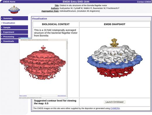 The new EMViewer 3D visualization Java applet is available on the EMDB Atlas pages and allows interactive generation of isosurface representations. The map shown here is of the Borrelia flagellar motor, accession number EMDB-1644 (Authors: Kudryashev, M., Cyrklaff, M., Wallich, R., Baumeister, W., Frischknecht, F.).