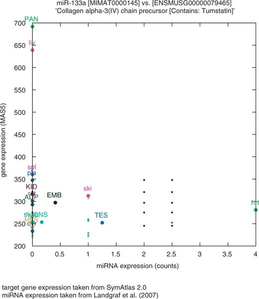 Example of coexpression plot for a miRNA–target pair in mice. Relative expression levels of mir-133a (based on the number of sequence reads reported in Landgraf et al. (24) versus Col4a3 (collagen alpha-3(IV) chain precursor) (based on SymAtlas). The graph shows (i) that mir-133a is muscle specific (hrt) and (ii) that Col4a3 mRNA levels in the heart are lower than in most other tissues. Interestingly, the murine Col4a3 3′-UTR encompasses an experimentally confirmed mir-133a target site corresponding to the ancestral allele (T), this allele being present in all sequenced mice lines (30) except in m.m. Castaneus, which harbours the derived allele (C) (rs30240795). By analyzing allelic imbalance in F1 mice heterozygous for this pSNP, Kim and Bartel (40) convincingly showed a higher mRNA steady state level for the derived allele (C) compared with the ancestral allele (T).