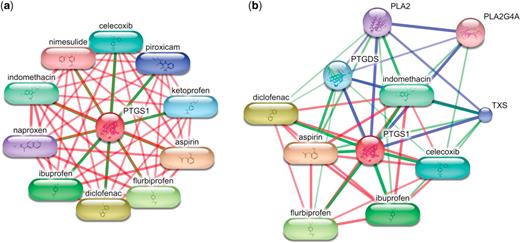 Interactions of prostaglandin-endoperoxide synthase 1 (PTGS1). (a) The highest-scoring interaction partners of PTGS1 are non-steroidal anti-inflammatory drugs (NSAIDs). As the confidence scores for these interactions are very high, no interacting proteins are shown. (b) The user may ask STITCH to display more of the interaction context and to let at least one-third of the interaction partners be proteins. In this case, STITCH is skipping 19 high-scoring chemicals in order to include four interacting proteins. In both networks, the color of the edge corresponds to the type of connected nodes (e.g. green: chemical–protein interaction) and the width of the edge correlates with the confidence score.