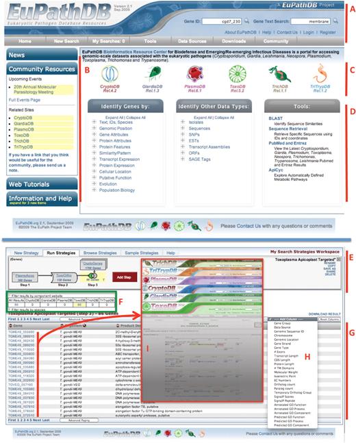 Screen shots from the EuPathDB database. (A) Interactive banner present on all EuPathDB web pages, including quick search windows and a tool bar (grey). (B) Side bar components contain expandable sections for release notes, community resources, tutorials and help (new items are highlighted with a yellow alert). (C) Hyperlinked logos of the EuPathDB component sites direct users to component databases. (D) Gene searches, non-gene entity searches, such as ESTs, ORFs of genome sequence and useful tools (BLAST against genomes in EuPathDB, PubMed records pertaining to EuPathDB organisms etc.). Note: clicking on the “+” symbol reveals a list of searches available within each category. (E) A multi-step search strategy, leveraging orthology to identify apicoplast targeted genes in Toxoplasma. (F) Summary table that allows filtering results based on component sites. (G) The results of a search strategy appear dynamically as the strategy is built and modified. (H) Additional columns of data can be added to results list. (I) Individual gene pages in the component sites can be accessed by clicking on their gene IDs.