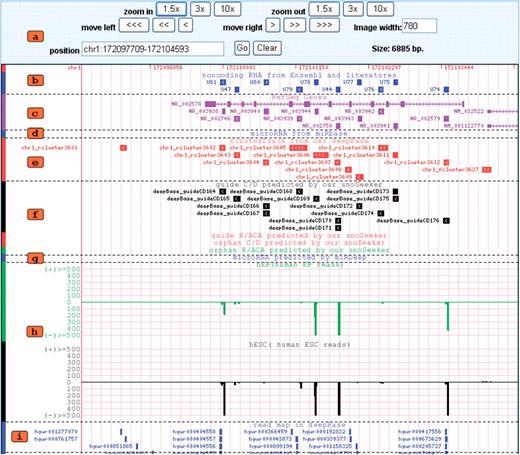 Snapshot of the deepView browser. (a) The controls directly underneath position the browser over a specific region in the genome. (b) RNA genes from Ensembl or the literature. (c) refSeq Gene. (d) microRNA gene from miRBase v13. (e) RNA clusters generated by this study. (f) The predicted snoRNAs from deep sequencing data using snoSeeker. (g) The predicted miRNA genes from deep sequencing data using miRDeep. (h) Strand-specific cluster expression peak (mapped small RNA density) generated for diverse tissues and cell lines. (i) Reads mapped to the genome.