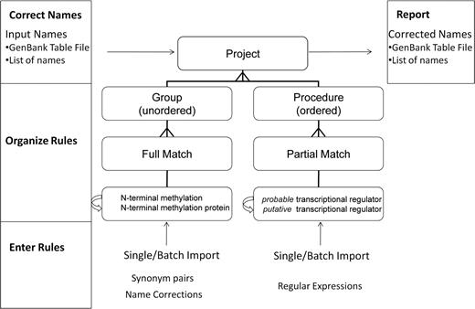 Overview of PNU use cases and project customization. Rules are entered via the web interface (either one by one or in a batch) and may be organized into groups, procedures and projects. Projects specify the set of rules that are used to correct names in input files. The PNU report allows users to verify name changes before correcting names (Figure 2B).