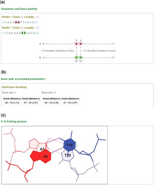 Screenshots showing some of the data provided in the local summary and visualization pages of each of the base-pair steps, here the A5A6 ·T19T20 dimer from the 2.25-Å crystal structure of the Dickerson–Drew dodecamer complexed to netropsin (PDB ID: 101D) (25). (a) A map of the interactions and locations of the paired bases in the selected base-pair step, including information on the number of hydrogen bonds and type of base pair. (b) A summary of some of conformational parameters associated with the base-pair step, here the identities and lengths of the hydrogen bonds in each base pair. (c) A downloadable stacking diagram that illustrates the overlap and hydrogen-bonding patterns of the base pairs (A5·T20 and A6·T19) in the selected step.