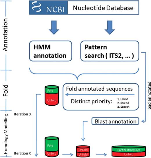 Flow chart of the new pipeline for the ITS2 annotation.