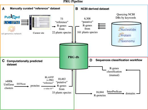 A schematic view of the PRG database showing the origin of dataset used and the sequences characterization. (A) The manually curated dataset that contains 73 literature cited R-genes from 22 different plants. (B) The NCBI dataset containing 6308 sequences related to reference R-genes retrieved by the NCBI database. (C) The computationally predicted dataset using the DRAGO pipeline containing 10 463 putative R-genes. (D) Workflow of conserved domain analysis and sequence classification.