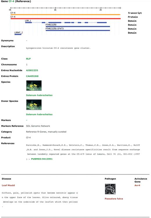 A PRGdb web page reporting an R-gene description. The following information is displayed: gene name; CDS, RNA, protein sequences and domains position; Genbank ID; original resistant species (donor organism); related molecular markers; literature; disease description, related pathogen and corresponding avirulence gene. Words in green and red represent hypertext links.