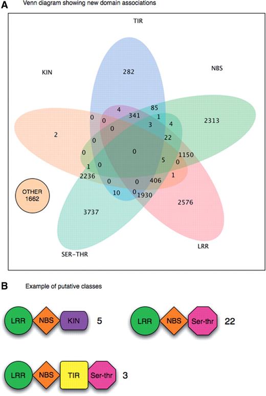 (A) A Venn diagram showing all possible combinations among domain classes produced by DRAGO pipeline. Each intersection represents a new or know domains association. Proteins numbers falling in each class are reported. (B) Examples of three unknown putative classes containing new domain combinations.