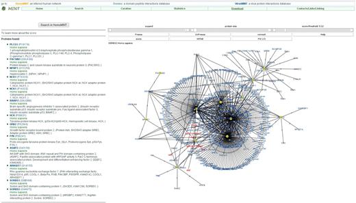 The ‘connect’ tool. The network is obtained by searching for 13 SH3 containing proteins. The node size has been reduced to the minimum with the scrollbar to provide a lighter view of the network. The proteins in the query are identified by a yellow border.
