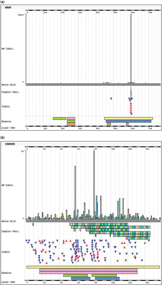 The Histogram page forms the core of the COSMIC website, showing the mutation range for each gene selected. The frequencies of each single base substitution are shown in the histogram itself and each deletion, insertion and complex substitution are indicated below as triangles (deletions point down in blue, insertions point up in red) or bars (which indicate the length of sequence being replaced). Below the mutations, long single-colour bars indicate structural domains, providing links to external databases including Pfam and InterPro. Two histograms are shown to demonstrate the range of mutation distributions observed; (a) BRAF shows the classical gain-of-function spectrum, whereby very specific mutations are required to activate growth promotion, in this case most frequently a c.1799T>A substitution; (b) CDKN2A (p16) is a tumour suppressor gene, only allowing growth promotion when its activity is absent (‘loss-of-function’). Tumourigenic mutations only need to inactivate the gene, shown here as a range of mutations across the gene's length, particularly including a large quantity of frame shifting insertions and deletions.