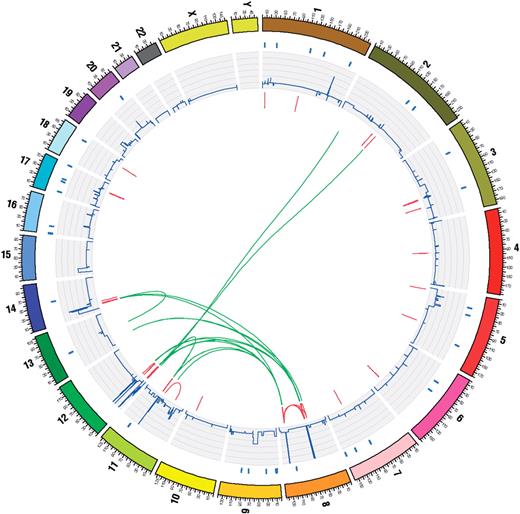 COSMIC has now standardized on Circos diagrams (4) to display genome-wide mutation analyses for a sample. Concentric rings display different data for the same sample, all located to the same genomic co-ordinates. On the outside of the circle, the chromosomes of the standard reference genome are coloured, numbered and appropriately scaled. Moving from the chromosome indicators to the centre of the circle, blue lines indicate the presence of coding point mutations in the coding domains of genes, a ring of histograms indicate the copy number of each genomic segment, red bars indicate the presence of small intra chromosomal rearrangements and green lines link chromosomes where large intra chromosomal rearrangements have been observed.