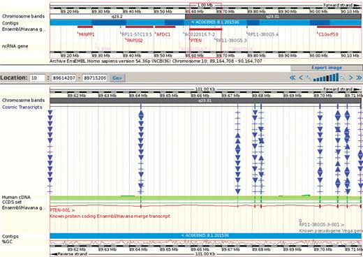 COSMIC mutations are available in the Ensembl genome browser, into which all other genomic annotations can be combined. Each unique sequence change is separately indicated and in a genomic context, the coding bias of COSMIC's data makes the annotations pile up over the exons. In this example, the first 15 rows of mutations in the PTEN gene is shown (reduced from 197 rows in Ensembl).