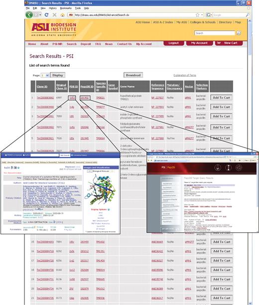 Representative results of a PSI-MR specific search with all clones with structural information from the PDB (‘∗’ in the PDB ID field) from the Joint Center for Structural Genomics. Column headers include the Clone ID, the original clone ID provided by the PSI Center (this functions as a reference for the PSI and for researchers who already know which PSI clone they are searching for), the PDB ID (external link to PDB structural information), the PepcDB ID (external link to experimental annotation), species specific ID (external link to EntrezGene or model organism databases such as the Saccharomyces Genome Database), gene symbol, gene name, reference sequence, mutation/discrepancy (mutations represent intended mutations compared to the reference sequence such as active site point mutations, and discrepancies represent unintended differences in the insert we provide compared to the reference sequence), vector name and selectable marker (for selection in bacteria or other hosts). Clicking on the Clone ID links to a clone detail page that provides additional information including the insert sequence, growth conditions of the plasmid, and any special MTA that is required to receive the plasmid. Inserts provide examples of links to additional annotations. Clicking on the TargetDB ID links to TargetDB and the status of progress with this target. Clicking on the PDB ID links directly to structural annotation at the PDB.
