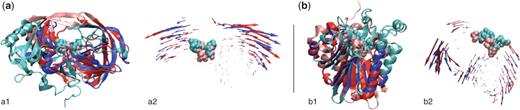 Examples of alignments returned by the ALADYN web server. The structural correspondences and the consistency of the fluctuation dynamics of the aligned regions are shown side-by-side for each of the test cases discussed in the Results section. (a) The alignment of HIV-1 protease (pink/red) and β-secretase (cyan/blue) are shown in subpanels a1 and a2. (b) The alignment of human adenovirus proteinase (pink/red) and exonuclease III (cyan/blue) are shown in subpanels b1 and b2. Aligned regions are shown with saturated colors (i.e. red and blue), while the active sites are highlighted using a Van der Waals representation.