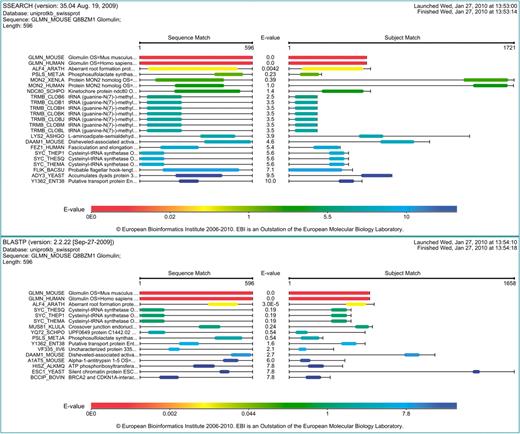 Comparisons between the Visual output results obtained when searching the sequence of mouse glomulin against the UniProtKB/Swiss-Prot database using SSEARCH and NCBI BLAST, respectively.