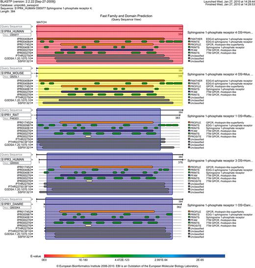Functional prediction view of the results obtained when comparing the sequence of putative bioactive lysophospholipid that was compared against UniProtKB/Swiss-Prot using NCBI BLAST.