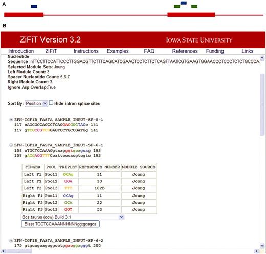 ZiFiT Output Windows. (A) The Graphic Summary window (top) displays potential ZFN-binding sites (‘hits’) identified in the input sequence. Exons (denoted by uppercase characters in the input sequence) are displayed as thick red bars and introns as thin red lines. Hits are represented by short colored bars above the input sequence track; these serve as bookmarks that are linked to individual target sites in the Detailed Target List. ZFN hits are color-coded based on spacer size (5 bp = Blue; 6 bp = Green; 7 bp = Gold). (B) The Detailed Target List window (bottom) provides in-depth information about each hit. Hits are presented as double-stranded DNA sequences and labeled according to the FASTA description, spacer size, and index. Each hit can be expanded to reveal a reagent list for generating the corresponding ZFP. Hits can be sorted according to various criteria as detailed in the text.