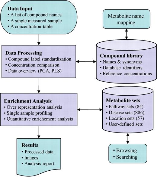 MSEA workflow. MSEA consists of four steps—data input, data processing, data analysis, and data download. Different analysis procedures are performed for different input types. MSEA allows users to directly browse and search its metabolite set libraries as well as to perform metabolite name mapping between different names and database ID.