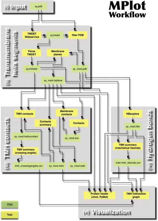 The MPlot workflow presented as a chart providing an overview of all tools (yellow boxes), their outputs (green boxes) and interdependencies (arrows). A more detailed description is provided in the running text. (i) With the PDB file as input, MPlot performs the following calculations automatically: (ii) First transmembrane segments, membrane planes and the biological unit are predicted using the TMDET web service (33) and are pre-processed for further use. (iii) Then atomic contacts between helices, the membrane and other structure elements are specified. If at least two atomic contacts between a helix pair are observed, the crossing angle is calculated. (iv) Next, interhelical hydrogen bonds are extracted from the complete list of potential hydrogen bonds identified by HBexplore (27). (v) For visualization the location and distances of the transmembrane helices, hydrogen bonds and crossing angles are depicted by a TMH–2D interaction graph. The 3D-structure of the uploaded protein can be visualized in conjunction with the interhelical hydrogen bonds, the membrane exposed residues and the membrane planes by using the Jmol based protein viewer or the script for PyMOL.