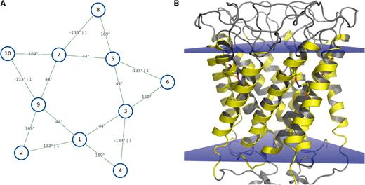 Visualization of the MPlot analysis’ results of the Mechanosensitive Channel of Large Conductance (PDB id 1msl). (A) TMH–2D interaction graph. The blue circles represent the membrane helix positions in the middle of the membrane; the green lines hold the crossing angle between two helices; the second number denotes the number of interhelical hydrogen bonds. (B) The protein viewer, showing the membrane interface (yellow), the membrane planes (blue) and potential hydrogen bonds (blue, red).