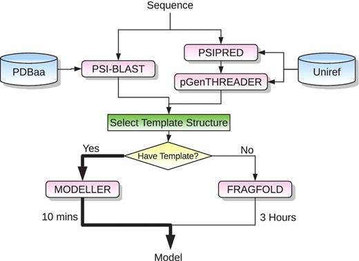 The process flow when analysing a sequence using the BioSerf pipeline is shown. An incoming sequence is initially analysed by both PSI-BLAST, PSIPRED and pGenTHREADER. The PSI-BLAST run allows the pipeline to identify whether the query sequences closely matches the sequence of a known structure in the PDB. PSIPRED and pGenTHREADER attempt to identify any remote structural homologues of the sequence should the PSI-BLAST run fail to find any related sequences. These data are then combined and potential template structures for modelling are selected given suitable cut-offs. Where there is at least one suitable template, the pipeline then uses MODELLER to generate a homology model. Where there are no suitable template structures, FRAGFOLD is used to build a possible model structure. A typical run of the pipeline that finds a suitable template structure takes around 10 min. In those cases where no template can be found and FRAGFOLD is used, runs can take up to 3 h.