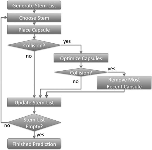 A flow-chart depicting the algorithm for predicting RNA secondary structures.