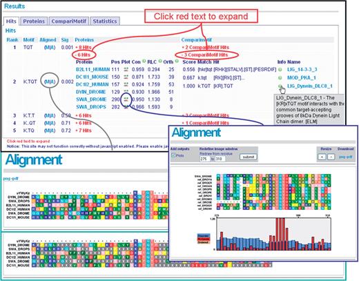 Main results page. Summarized results for each motif are initially displayed. These can be expanded to reveal individual occurrences in each protein for each motif. Alignments can be generated to explore the unmasked and masked sequence context for each motif ‘(M|A)’ or to examine the region around a specific motif occurrence in a single protein ‘(Plot)’. All visualizations can be exported as PNGs or high-quality PDFs.