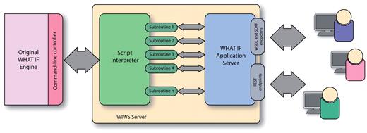Architecture of the WIWS system. The original WHAT IF system at the far left is augmented with a software layer that receives streams of automated commands, and sends them to WHAT IF as though they had been typed at the command line. The WIWS server (centre) receives Web service invocations from users in either REST or SOAP format, and matches these with one of the scripted subroutines, which then calls WHAT IF in order to execute the appropriate sequence of instructions.
