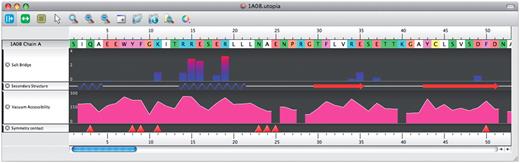 PDB file 1A08 (12) displayed using Utopia, having invoked 4 WHAT IF services. Tracks show in order: (i) amino acid residue number, (ii) the residue sequence (colour code as in Figure 3); (iii) residues involved in salt bridges (height of the bar indicates the total enthalpy contribution of all salt bridges in which the residue is involved); (iv) secondary structure (blue zigzags indicate α-helices, red arrows denote β-strands); (v) vacuum accessibility displayed using an alternative mode of Utopia visualization relative to that in Figure 3 (the values at 25, 28, 40 and 52 are missing because their side chains are not complete in the PDB file); (vi) red triangles indicate residues involved in crystal-packing contacts.