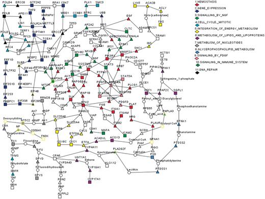 Network model D3 returned by R spider on submission of 360 candidate genes residing in regions with copy number alteration typical of the S�zary syndrome (37). Boxes represent input genes, triangles represent intermediate genes (genes that are added to connect two input genes, for model D3 up to two intermediate genes are allowed between any two input genes), circles represent compounds which are common substrates or products for both connected genes. Diamonds are used to specify the colour of canonical Reactome or KEGG pathways.