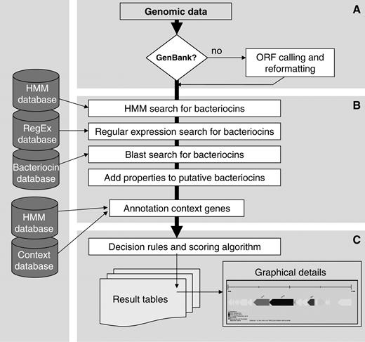 Process overview. (A) The input genome data can be a single or multi-entry GenBank file, in case of non-annotated data or, if re-annotation is desired, an ORF calling can be performed via the BAGEL2 web site. (B) Annotation of putative bacteriocins and their genomic context genes. (C) Calculation of score for each candidate and generation of detailed reports (including graphical representation).