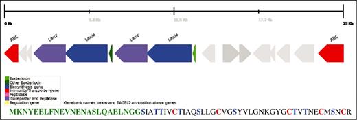 BAGEL2 graphical output for putative bacteriocin (light green). ClocelDRAFT_0418 from Clostridium cellulovorans 743B, which was identified through the new MA-2PEPA motif. Amino acids in the leader sequence of the putative bacteriocin are indicated in green. Amino acids potentially involved in lanthionine ring formation are marked in red (cysteine) and blue (serine and threonine).