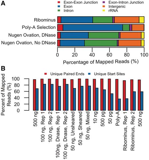(A) Comparison of average mapping statistics of transcriptomic content among three datasets using 50 bp reads from Genome Analyzer IIx (Illumina, Inc.): cDNA libraries made from single RNA samples of mouse testis tissue in which mRNA was enriched from total RNA either by (i) TruSeq™ poly-A selection or by (ii) RiboMinus™ rRNA depletion and (iii) cDNA library in which cDNA was synthesized directly from total RNA (DNase treated and left untreated) using the Ovation® RNA-Seq system. (B) Complexity of libraries (percent of unique start sites, unique pairs out of total mapped reads): cDNA libraries of TruSeq™ poly-A selection, RiboMinus™ rRNA depletion and Ovation® RNA-seq amplification system (different input amounts of total RNA). The sample prepared using the Ovation® RNA-Seq system provided slightly higher percentage of unique start sites.