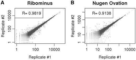 Scatter plots with Spearman's correlation showing good agreement between technical replicates of RiboMinus™ and Ovation® RNA-Seq systems for single RNA samples of mouse testis tissue. (A) RiboMinus™ technical replicates and (B) Ovation® RNA-Seq system technical replicates.