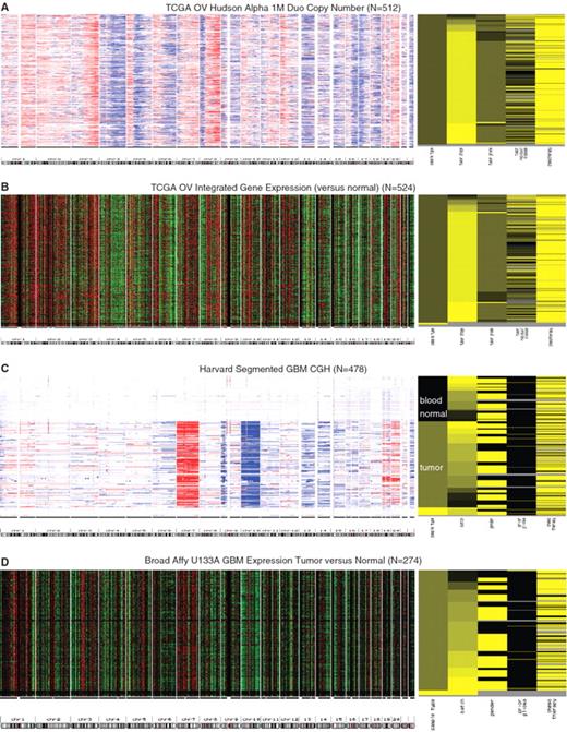 TCGA GBM and ovarian tumor gene expression and DNA copy number tracks. Copy number tracks by default use red and blue to represent amplification and deletion, respectively. Gene expression tracks by default use red and green to represent over- and under-expression, respectively. ( A ) TCGA ovarian copy number. ( B ) Ovarian tumor gene expression normalized by solid normal controls. ( C ) GBM copy number. ( D ) GBM gene expression normalized by solid normal controls. Accompanying clinical information is shown on the right of each genomics heatmap. Clinical values are coded in color and displayed as a yellow-black heatmap. The user can sort samples according to either the genomic or clinical heatmap by clicking on the feature of interest. For example, in (C) GBM copy number track, GBM samples are sorted by sample type in the order: blood normal, tumor and solid normal. The GBM genomic heatmap is organized according to the same clinical order, showing copy number abnormality in tumors, while such abnormality is mostly absent in blood normals and solid normals.