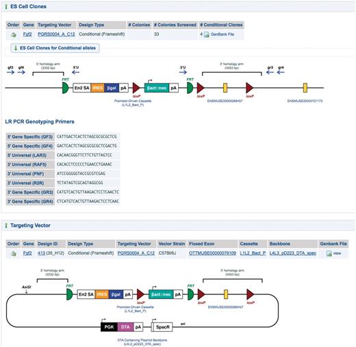  屏幕截图显示了IKMC网站上提供的详细靶向载体和等位基因信息。所示的例子是条件就绪/敲除第一等位基因（3，20）。显示了靶向载体的显著分子特征和ES细胞中产生的突变等位基因，包括同源臂、FRT和loxP位点以及用于质量控制的引物的位置。集合外显子ID链接到基因组坐标信息。GenBank文件的链接提供了序列水平上的靶向载体和突变等位基因信息。 