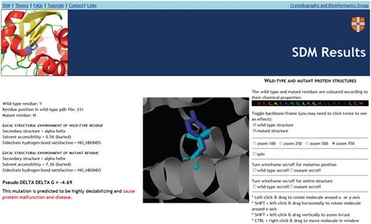 Screenshot of SDM analysis results for the example of mutation Y231N in Dystrophin (PDB code 1DXX, chain A). On the left hand side information about the wild-type and mutant residue is displayed such as the secondary structure, solvent accessibility and hydrogen bonds formed by the sidechain. Underneath this information is the predicted effect on protein stability. In this case, SDM predicts that the mutation is highly destabilizing and disease-associated. In fact, this mutation is associated with muscular dystrophy and has been shown to decrease protein stability ( 73 ). In the middle, the structural context of the wild-type and mutant amino acids are shown in the Jmol applet with the residues coloured according to their chemical properties (key displayed on right hand side). Using the menus on the right hand side the user can manipulate the Jmol applet and control what is shown.