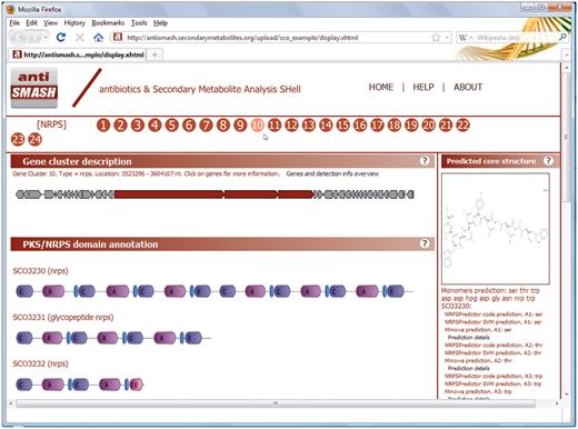 Interactive XHTML visualization of results. The numbers below the banner represent the gene clusters that were detected, the type of which is shown to the left of them at mouse-over. Once a gene cluster has been selected, the ‘Gene cluster description’ tab will display an SVG image with all genes within the approximate gene cluster, with the detected signature genes displayed in red. Locus tags appear on mouse-over, and on clicking a gene a small panel pops up with annotation information and cross-links to other web services. If PKS/NRPS proteins are encoded in the gene cluster, their domain annotations are given in the ‘PKS/NRPS domain annotation’ tab. More detailed domain annotation information and cross-links are provided on mouse-over. In the ‘Predicted core structure’ tab, a prediction of the core chemical structure is given for PKS or NRPS gene clusters based on the predictions displayed below it. All tabs contain a wide range of links to pop-ups which further detail the prediction information.
