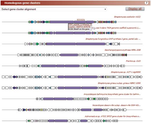 Example of ClusterBlast alignment of gene clusters homologous to the query gene cluster. In this case, the ten best hits to the calcium-dependent antibiotic NRPS gene cluster from Streptomyces coelicolor A3(2) are displayed. Homologous genes (BLAST e -value < 1E-05; 30% minimal sequence identity; shortest BLAST alignment covers over >25% of the sequence) are given the same colors. The ‘select gene cluster alignment’ drop-down menu provides links to one-by-one gene cluster alignments to each gene cluster hit. In the one-by-one gene cluster alignments, PubMed and/or PubChem links are provided for gene clusters associated with a known compound.