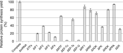 Contribution of TFs and ER to the overall protein synthesis in the reconstituted T. thermophilus system. The translation of stGFP mRNA is conducted at 50°C for 4 h in the reconstituted T. thermophilus system in which one or several TFs or ER are removed. The relative synthesis yields (%) are based on the fluorescence of the reactions compared with that of the complete reconstituted system (Complete, set as 100). ΔmRNA: missing stGFP mRNA; ΔTFs: missing all TFs; ΔIFs: missing all three initiation factors; ΔER: missing all ER; also see Supplementary Table S1 for the abbreviations. The data are based on at least two independent experiments.