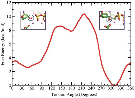 Free energy profile of the torsion angle C2′–C3′–O3′–H determining the orientation of the H(O3′). At the 45° minimum the hydrogen is oriented towards the α-phosphate while at the 309° minimum it is directed toward E199.