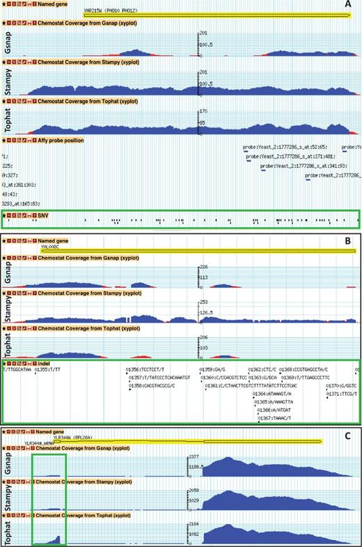 Coverage plots of mapped reads shows different capabilities of the three different aligners. ( A ) The ORF YHR215W (PHO11) contains many SNVs on the coding region (green box). ( B ) The ORF YHL008C contains many INDELs on the coding region (green box). ( C ) The ORF YLR344W (RPL26A) contains a small exon (green box).