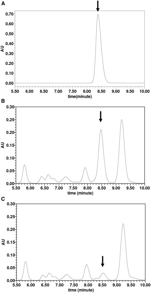 Assays for determining the intracellular c-di-GMP concentration in M. smegmatis. Extraction of mycobacterial nucleotides and detection of c-di-GMP in M. smegmatis were performed as described in ‘Materials and Methods’ section. Together with the purified c-di-GMP positive control (A), the lyophilized samples (15 μl) derived from the Msm/pMV261-b1535 (B) and Msm/pMV261-b1535(mut) (C) were assayed in HPLC buffer A on C-18 columns for HPLC analysis and separated by reverse-phase HPLC as described in ‘Materials and Methods’ section. The peak for c-di-GMP is indicated by arrows. The peak areas from three independent experimental samples for Msm/pMV261-b1535 and for Msm/pMV261-b1535(mut) were put into the standard curve equation Y = 9 256 866X + 2441. The final intracellular concentration of c-di-GMP was obtained for Msm/pMV261-b1535 (28 μM) and for Msm/pMV261-b1535(mut) (4.5 μM).
