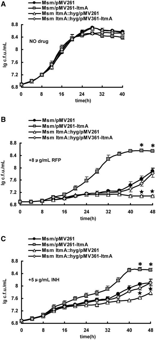 Assays for the effects of LtmA on the antibiotic resistance of M. smegmatis. Growth curves of the wild-type, ltmA-overexpressed, ltmA-deleted and ltmA-complemented strains were determined as described in ‘Materials and Methods’ section. These mycobacterial strains were grown in 7H9 media in the absence of anti-TB antibiotic (A) and in the presence of 8 μg/ml RFP (B) or 5 μg/ml INH (C). Representative growth curves are shown. Error bars represent the variant range of the data derived from three biological replicates. The P-values of the relative growth data were calculated by unpaired two-tailed Student’s t-test using GraphPad Prism 5. The P-values of the results at two time points, 44 and 48 h, were <0.05, which were indicated by an asterisk (*) for LtmA-overexpressed strain or by a star () for LtmA-deleted strain above the error bars in the figure.